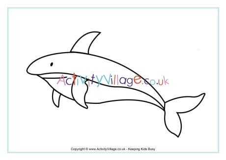 Shark colouring page