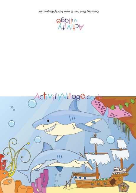 Sharks scene card