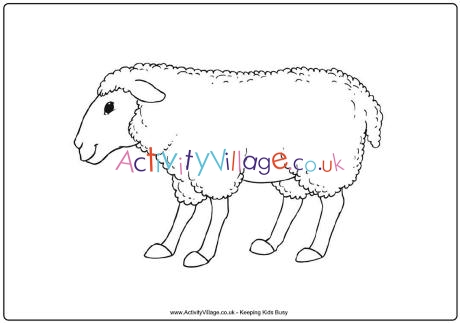 Sheep Colouring Page 2