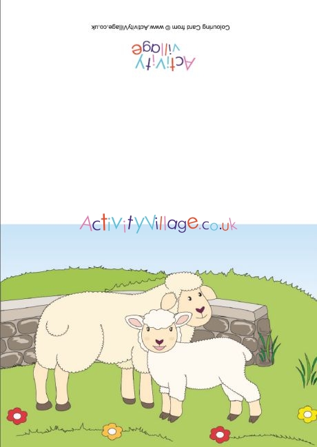 Sheep scene card