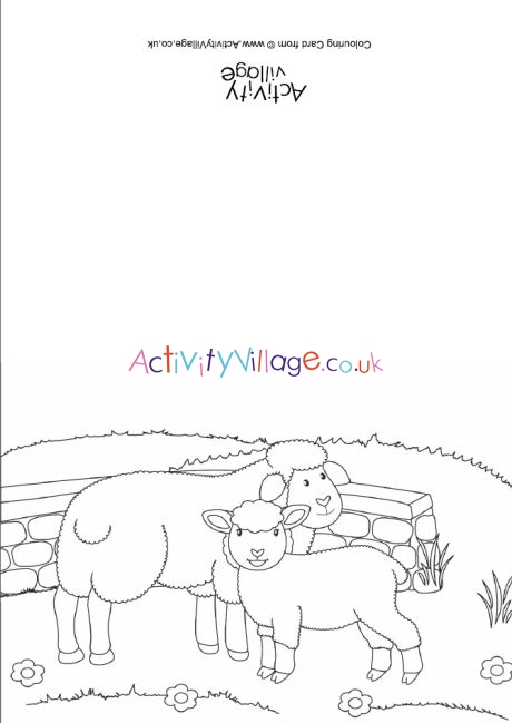 Sheep scene colouring card