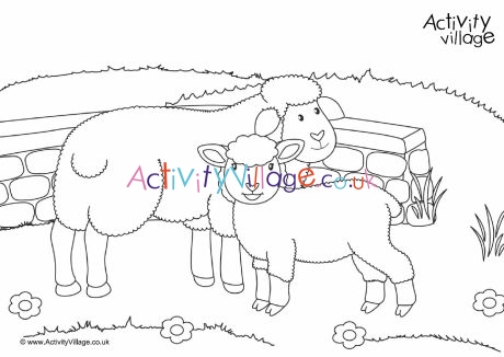 Sheep scene colouring page 2