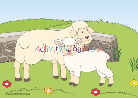 Sheep scene poster