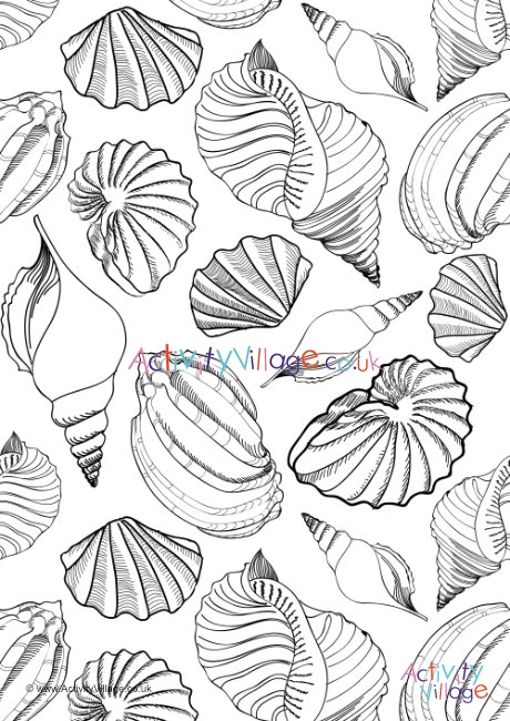 Shell Colouring Page 3