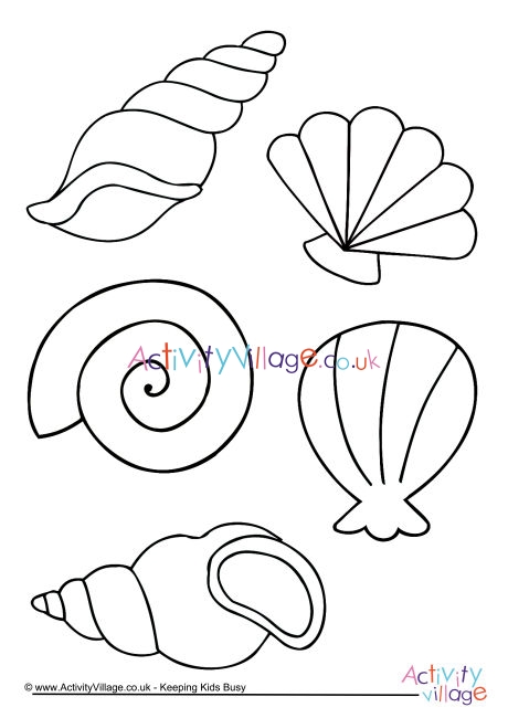 Download Shell Colouring Page