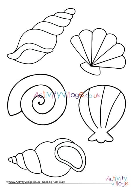 Shell colouring page