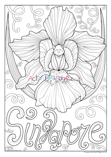 Singapore national flower colouring page