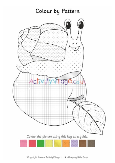 Snail colour by pattern