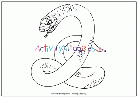 Snake colouring page