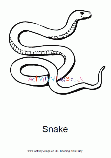 Snake colouring page 2