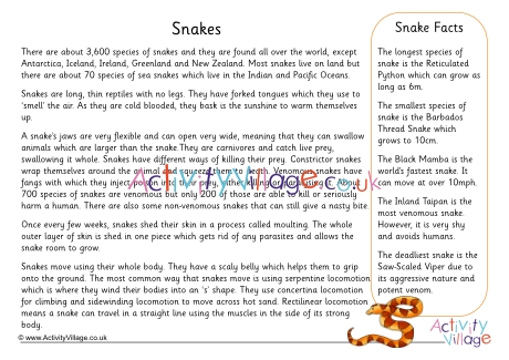 Snake Fact Sheet