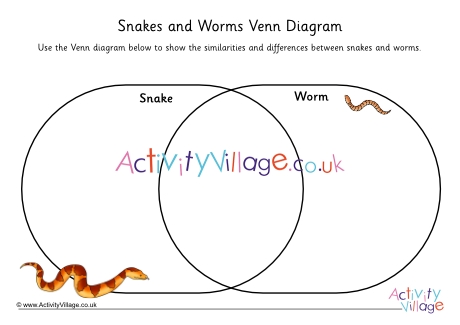 Snakes and Worms Venn Diagram Worksheet