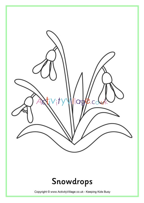 Snowdrops colouring page