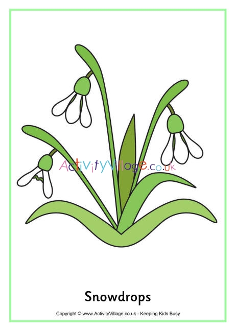 Snowdrops poster