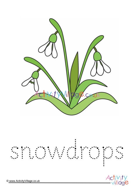 Snowdrops Word Tracing