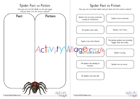 Spider Fact vs Fiction