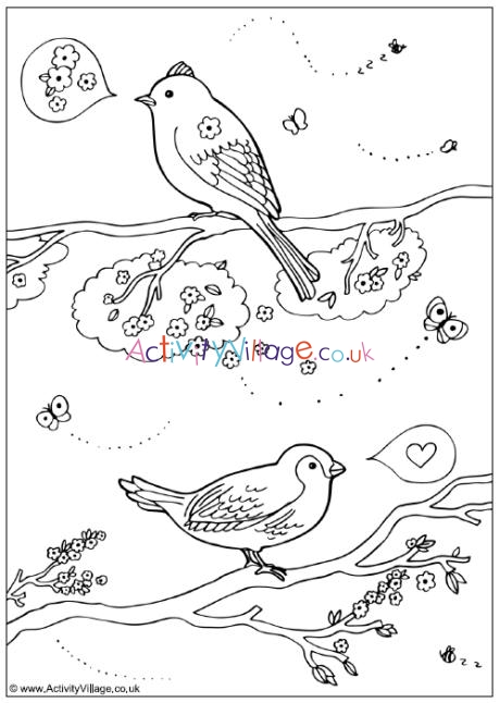 Spring birds colouring page
