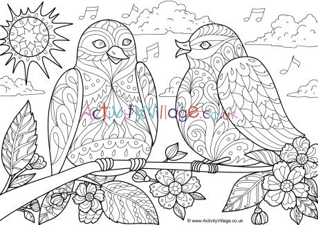 Spring Birds Doodle Colouring Page