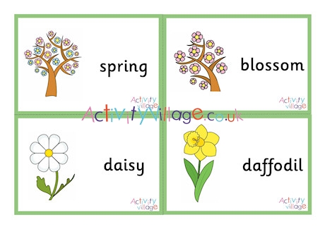 Spring Flashcards - Small