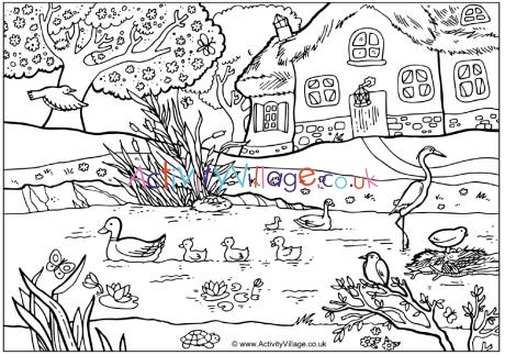 Spring pond colouring page
