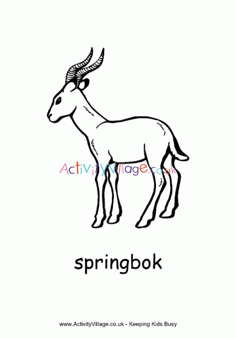 Springbok colouring page