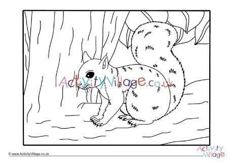 Squirrel colouring page 10
