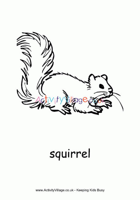 Squirrel Colouring Page