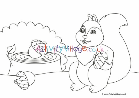 Squirrel Colouring Page 4