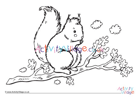Squirrel colouring page 11