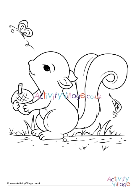 Squirrel colouring page 7