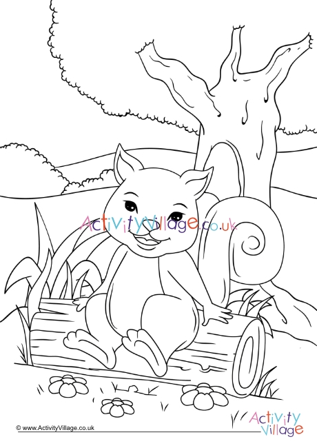 Squirrel colouring page 8