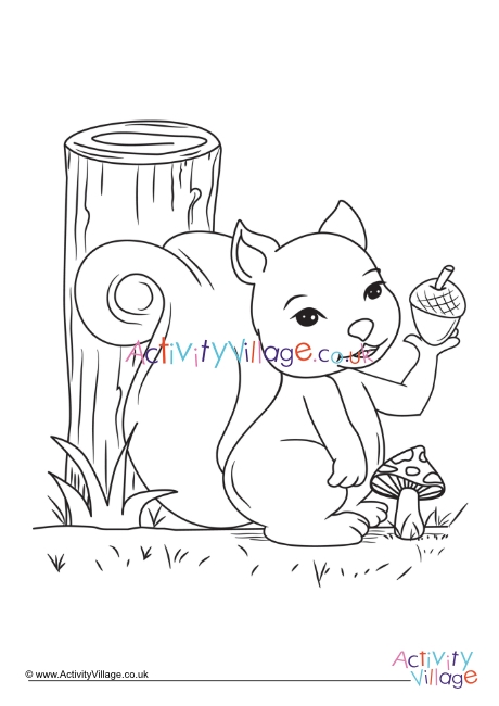 Squirrel colouring page 9