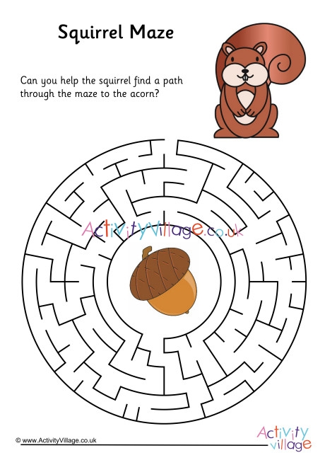 Squirrel Maze