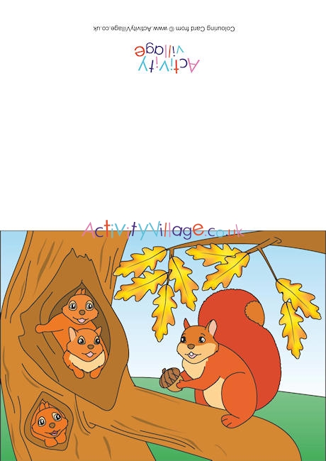 Squirrels Scene Card