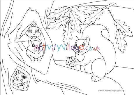 Squirrels Scene Colouring Page