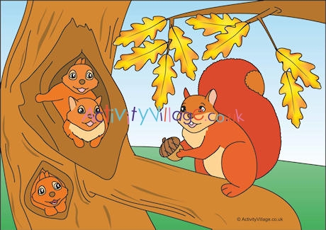 Squirrels Scene Poster