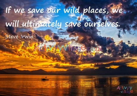 Steve Irwin Quote Poster