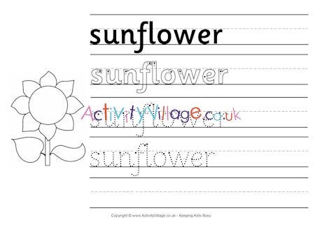 Sunflower handwriting worksheet