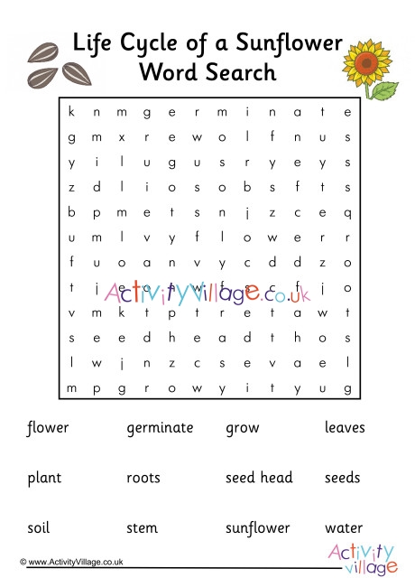 Sunflower Life Cycle Word Search