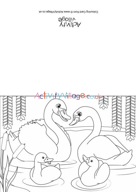 Swans Scene Colouring Card