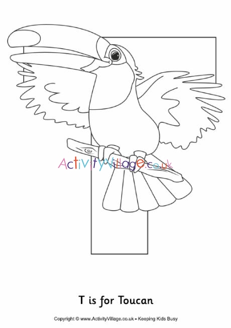 T is for toucan colouring page