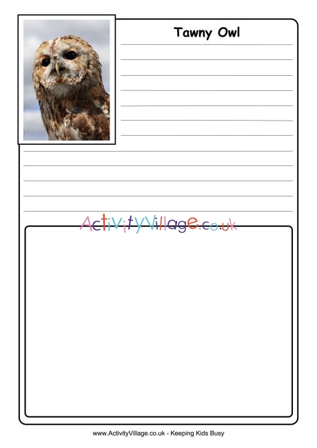 Tawny Owl notebooking page