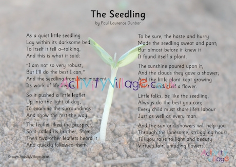 The Seedling slideshow