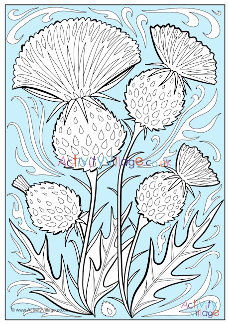 Thistle colour pop colouring page