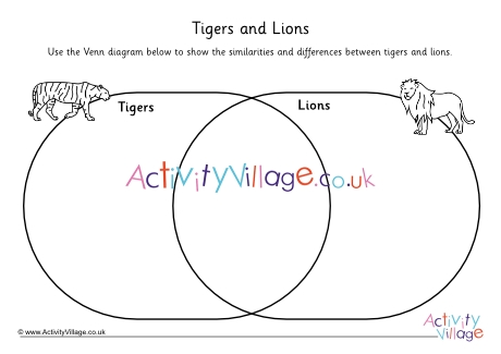 Tiger and Lion Venn Diagram Worksheet