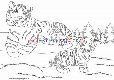 Tigers Scene Colouring Page