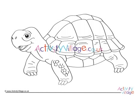 Tortoise Colouring Page 3