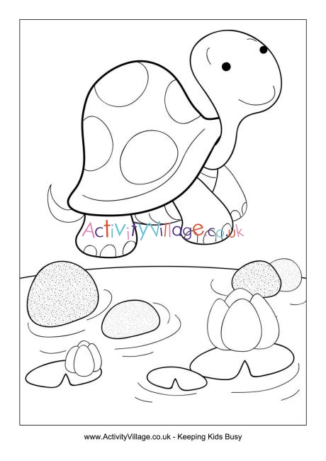 Tortoise colouring page