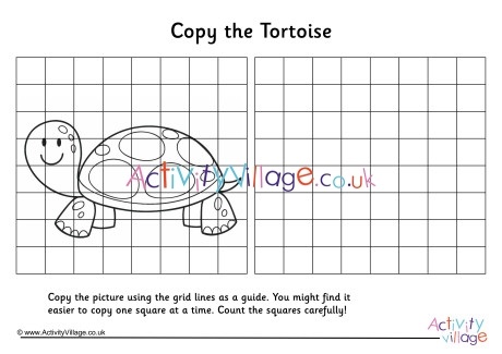Tortoise Grid Copy