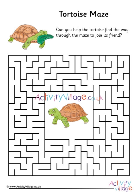 Tortoise Maze 1